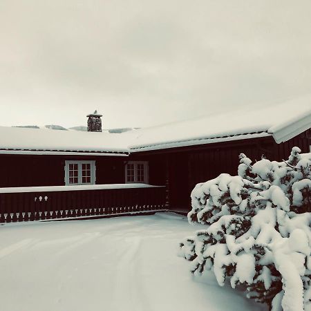Vestlia Ski Geilo Dış mekan fotoğraf