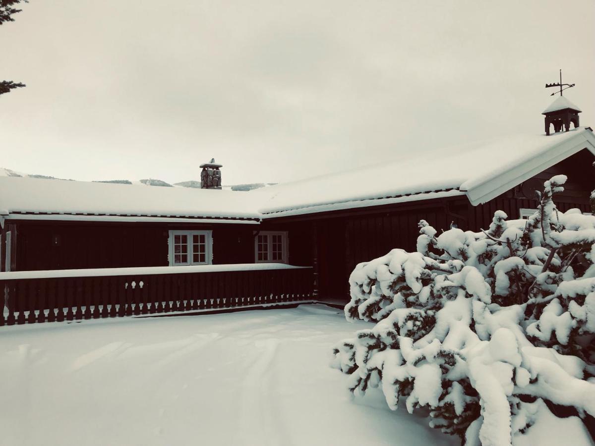 Vestlia Ski Geilo Dış mekan fotoğraf